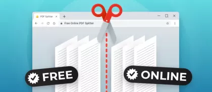 Divisore PDF Online Gratis