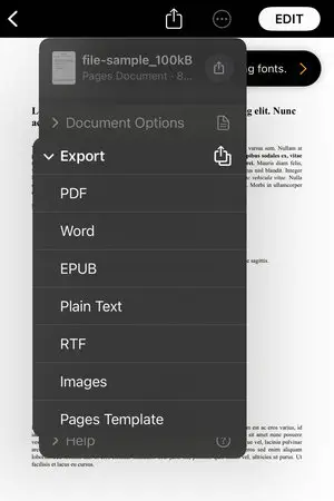 Turn Word document into PDF on iPhone
