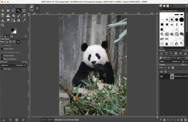 Edit a TIFF file in GIMP