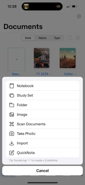 Goodnotes annotation