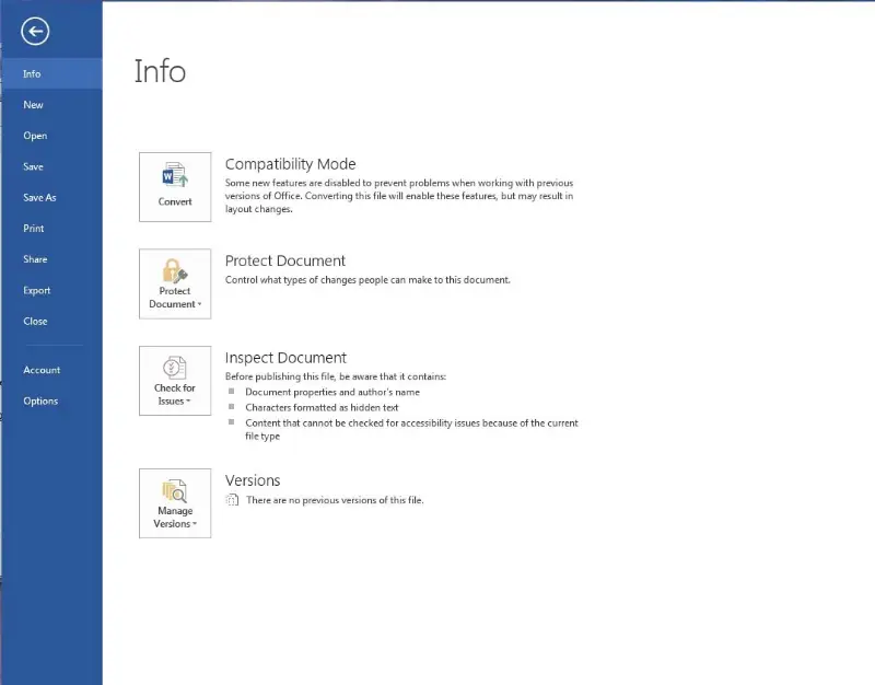PDF protector within Microsoft Word