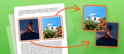 How to Extract Images from PDF Online & on PC
