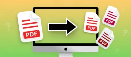 How to Split PDF on Mac: 5 Simple Ways in 2025