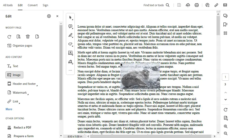 Add your picture to PDF in Adobe Acrobat