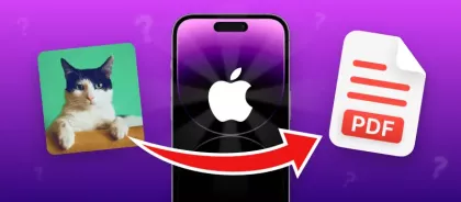 How to Convert Picture to PDF on iPhone Online and on PC