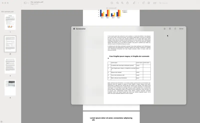 How to put a PDF into Word as a screenshot